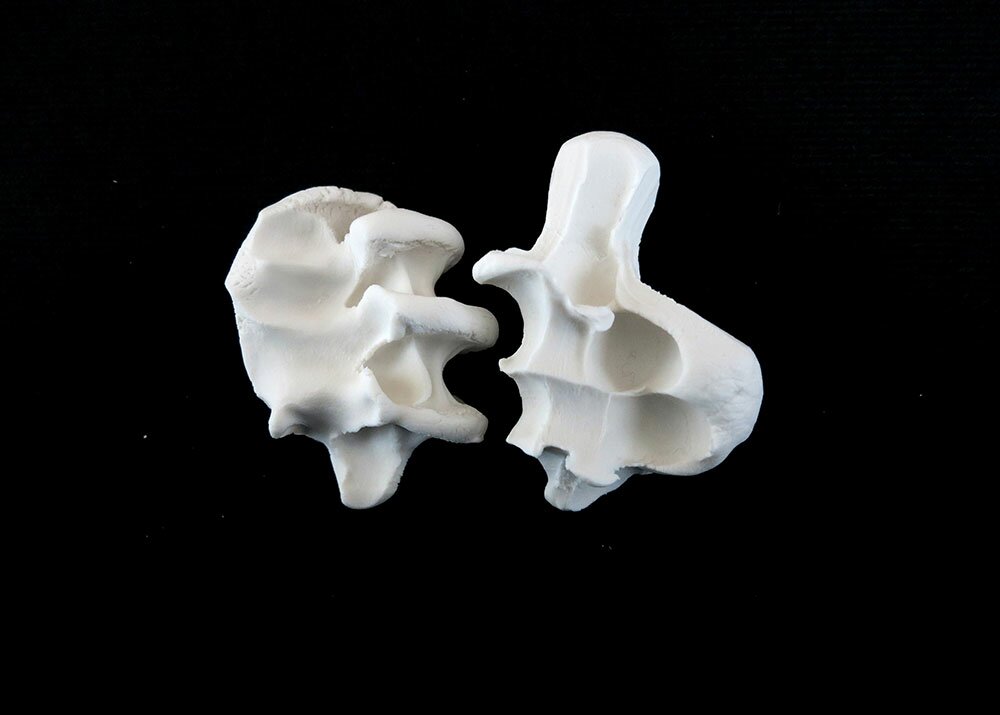 Example of Hospital Impressions, hand-pressed impressions in fine porcelain. Photo by Hans Clausen